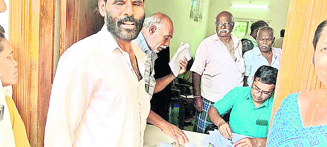 విత్తు.. చిత్తు1