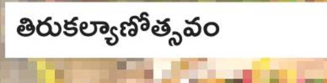 ఘనంగా అర్ధనారీశ్వరుడి రథోత్సవం3