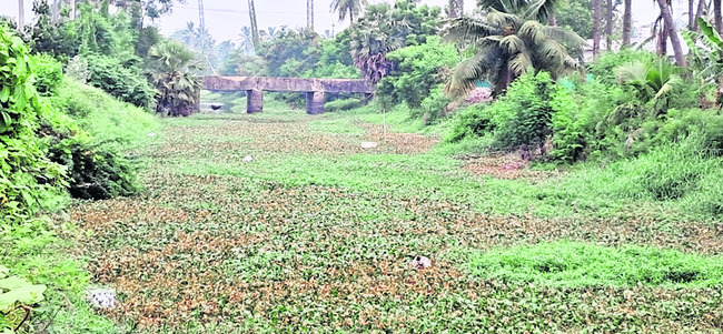డ్రెయిన్లు ఇలా.. మురుగు పారేదెలా! 1