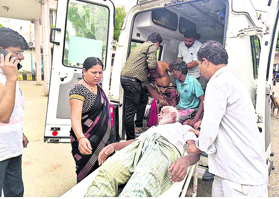 తేనెటీగల దాడిలో ఆరుగురికి గాయాలు1
