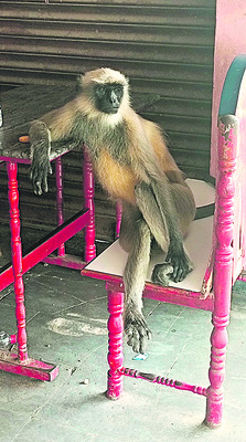 మందుబాబులకు జరిమానా
1