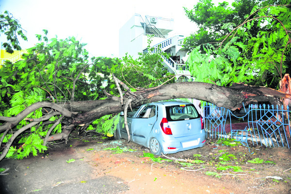 కూలిన చెట్లు.. విరిగిన స్తంభాలు1