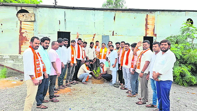 Plantation2