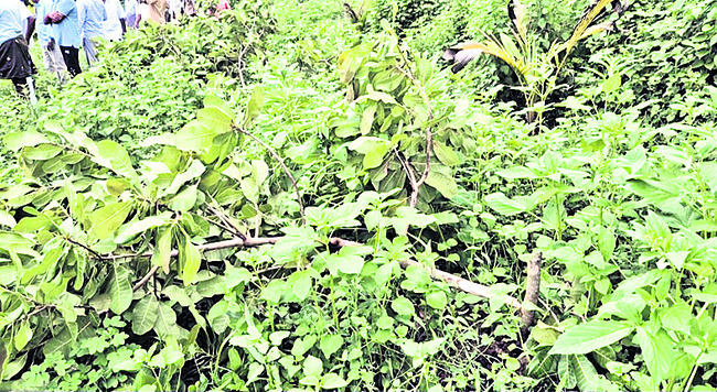 విద్వేషం.. విధ్వంసం 2