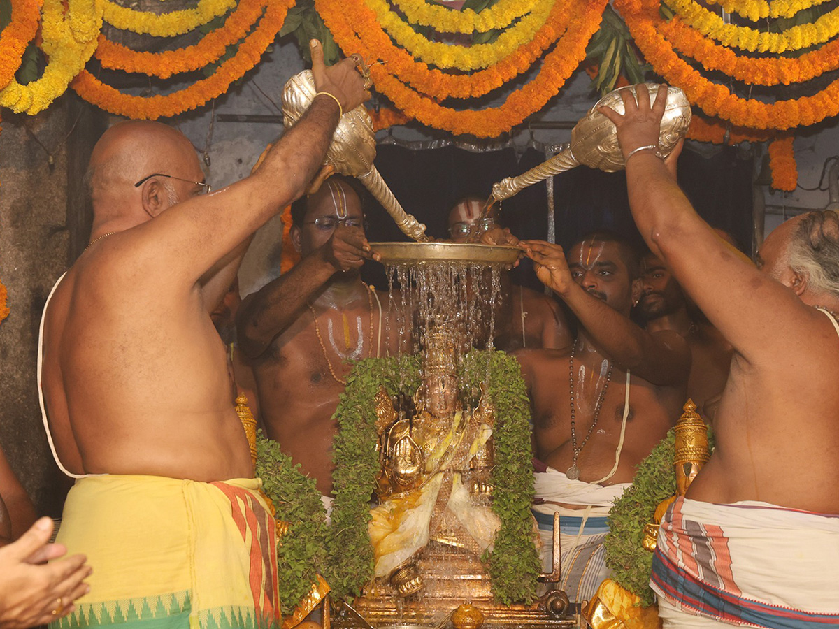 Sri Padmavathi Ammavari Teppotsavam Tiruchanur Photos12