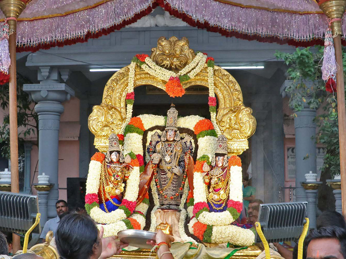 Sri Padmavathi Ammavari Teppotsavam Tiruchanur Photos6