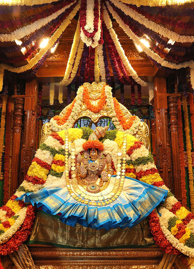 Sri Padmavathi Ammavari Teppotsavam Tiruchanur Photos9