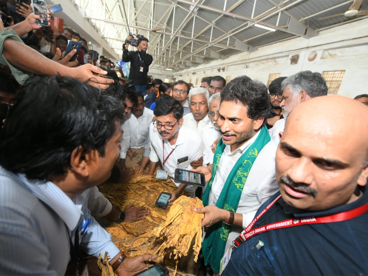 YS Jagan Visit Tobacco Farmers at Podili Prakasam District Photos12