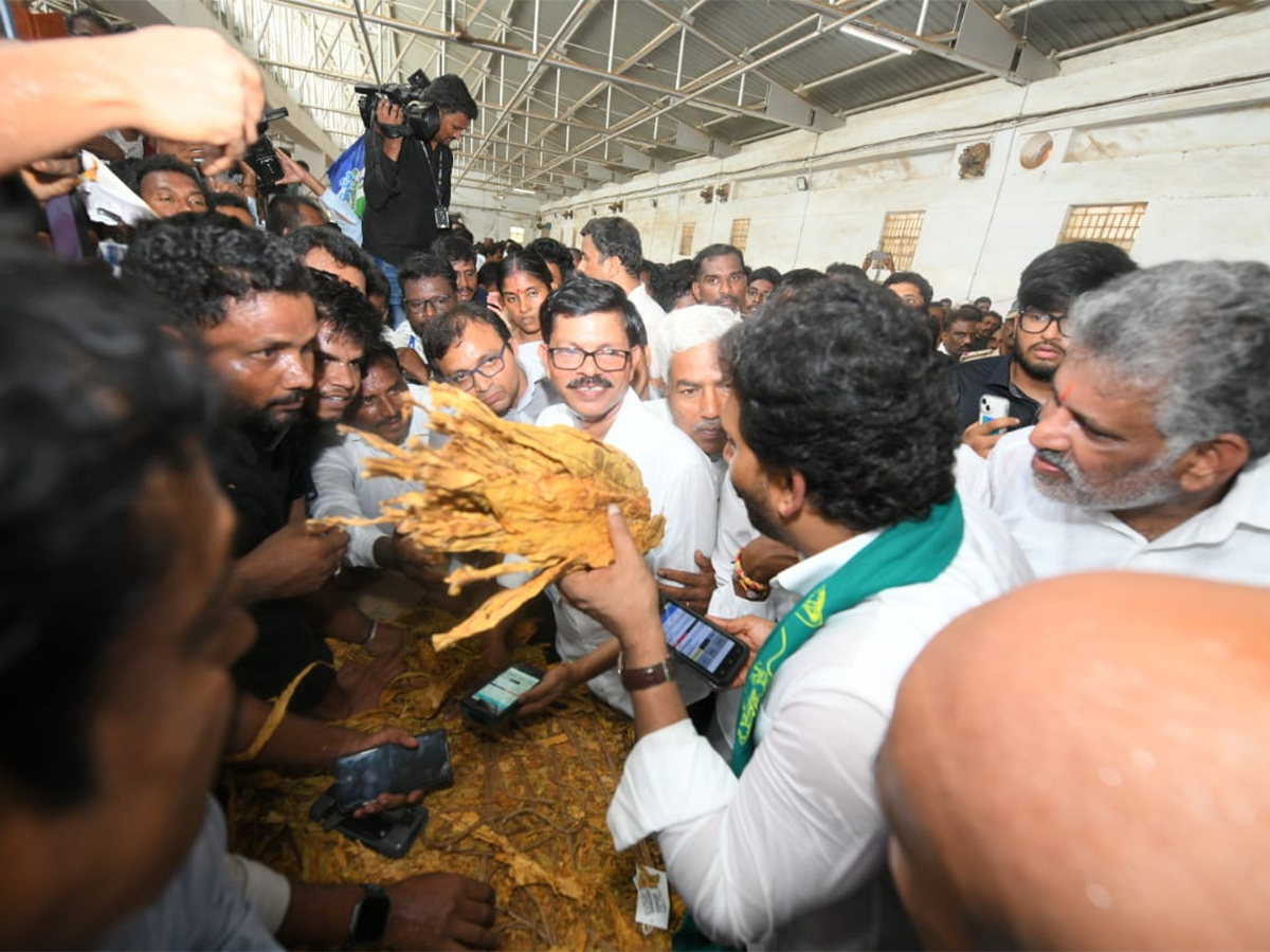 YS Jagan Visit Tobacco Farmers at Podili Prakasam District Photos13