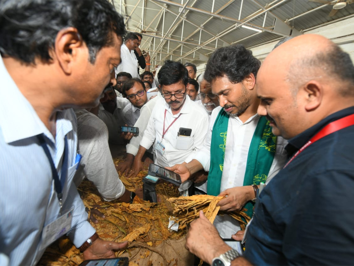 YS Jagan Visit Tobacco Farmers at Podili Prakasam District Photos15