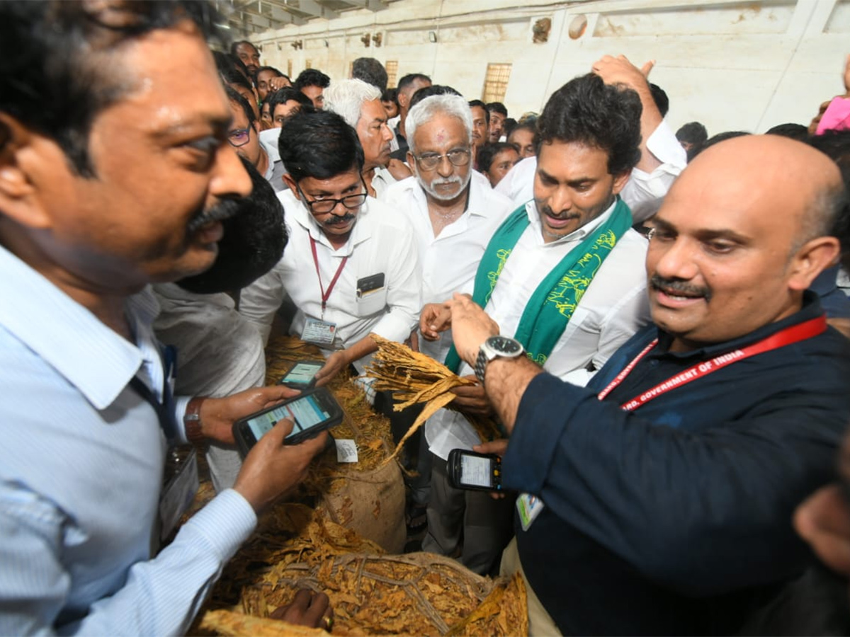 YS Jagan Visit Tobacco Farmers at Podili Prakasam District Photos16