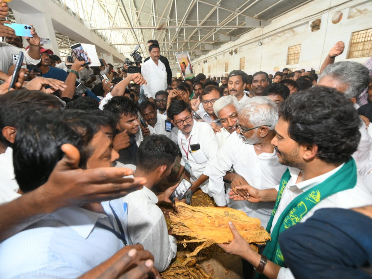 YS Jagan Visit Tobacco Farmers at Podili Prakasam District Photos19
