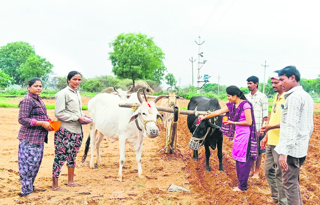 ఏరువాక సంబురం1