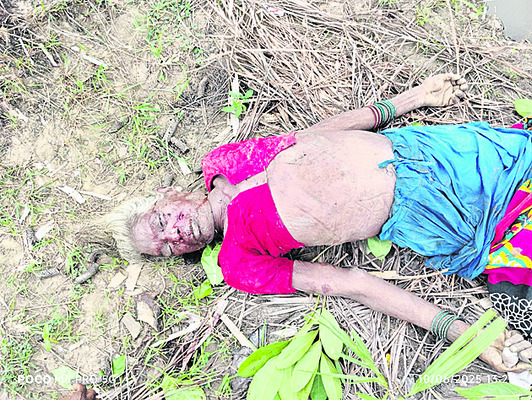 గణనాథుని అవతారంలో జగన్నాథుడు దర్శనం 1