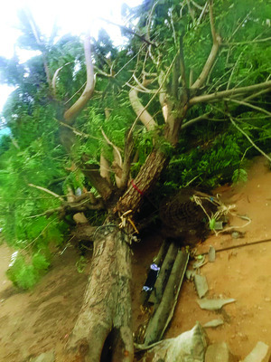 గాలీవాన బీభత్సం.. వృద్ధుడి మృతి 1