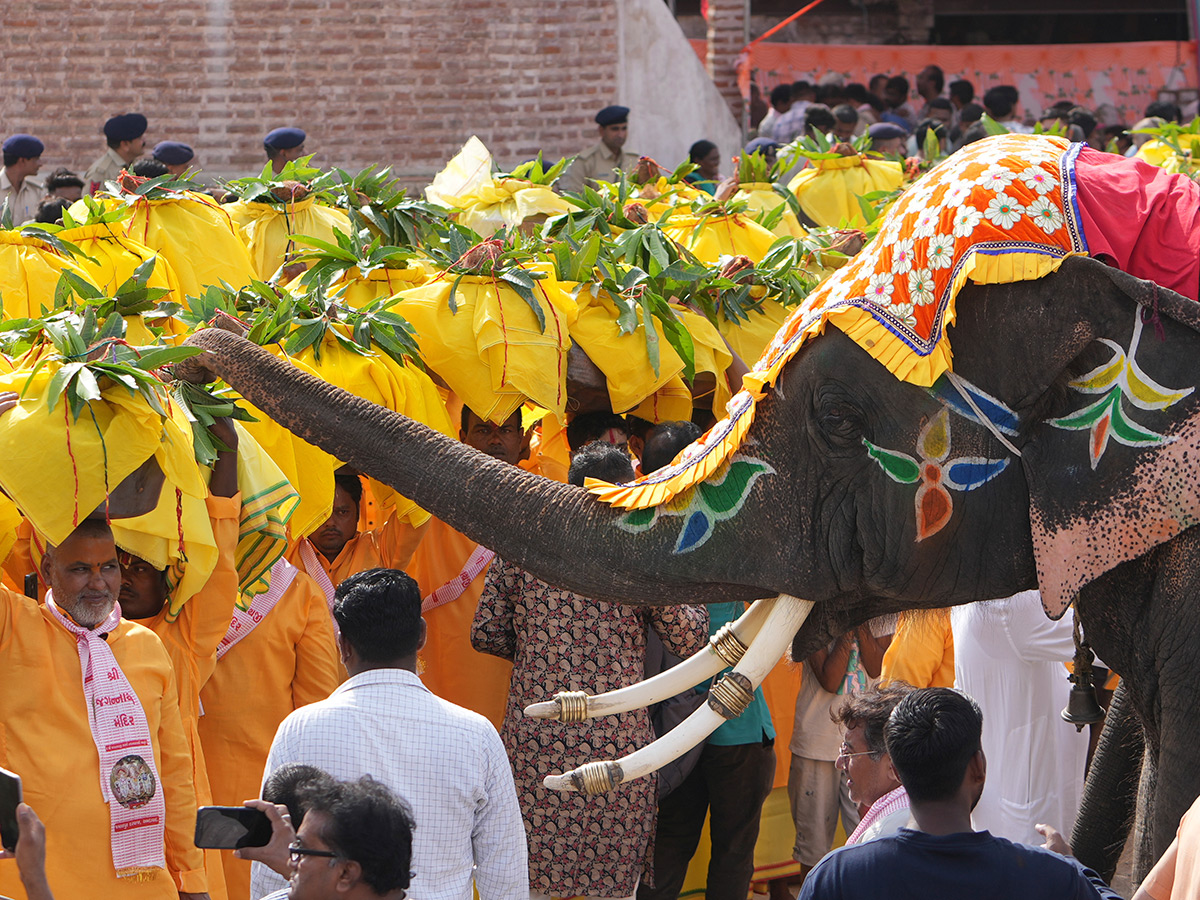 Snana Yatra Begins at Puri of Lord Jagannath Photos6