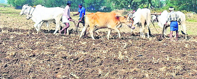 కాటేసే కాలం 1