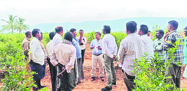 ఉపాధి పనులు తనిఖీ చేసిన కేంద్ర బృందం
1