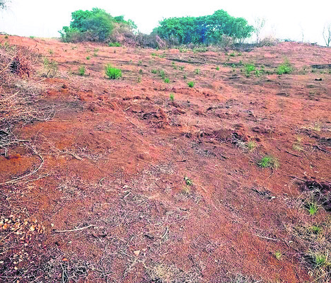 అటవీ భూమిపై అక్రమార్కుల కన్ను 1