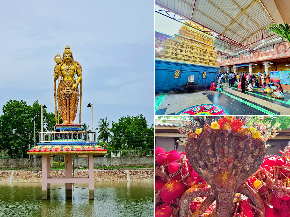 Sri Subramanyeswara Swamy Temple Mopidevi Photos1