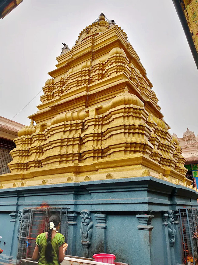 Sri Subramanyeswara Swamy Temple Mopidevi Photos15