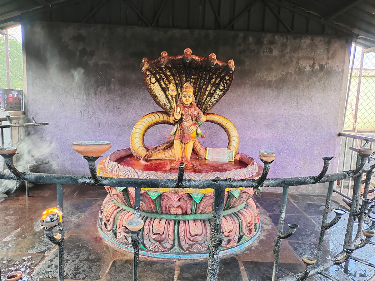 Sri Subramanyeswara Swamy Temple Mopidevi Photos4