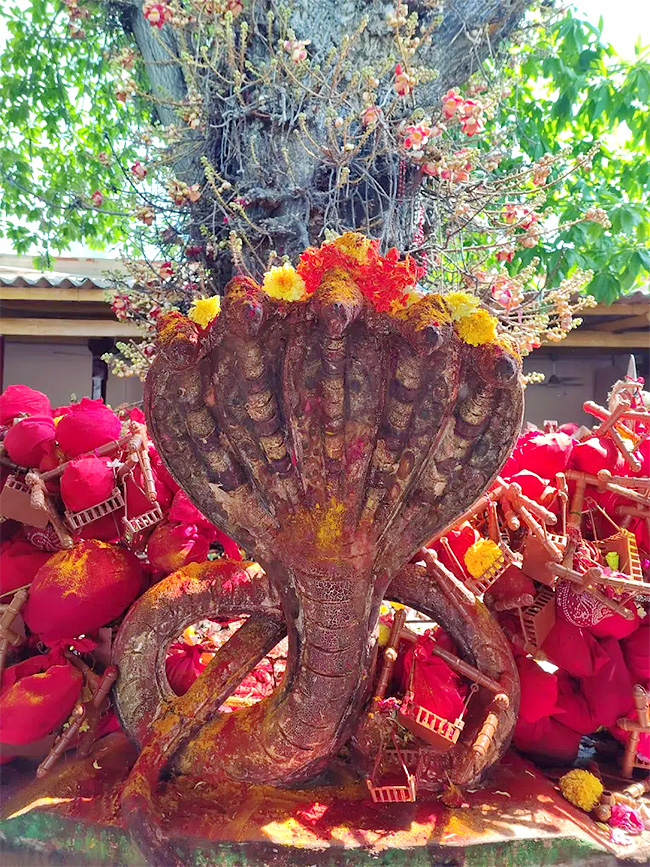 Sri Subramanyeswara Swamy Temple Mopidevi Photos6