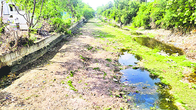 సాగుకు తూటు గండం 3
