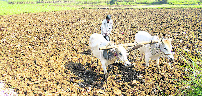 ఖరీఫ్‌ సాగుకు సన్నద్ధం1