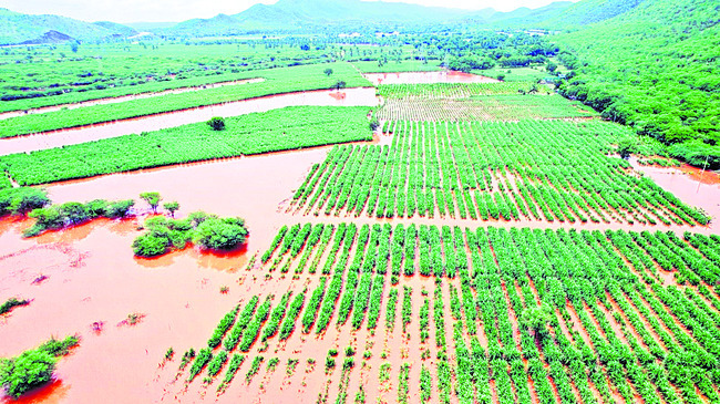 ఉప్పొంగిన రాయరకెరె ●1