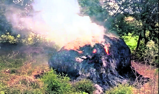 ఇదేమి పైశాచికం! 1