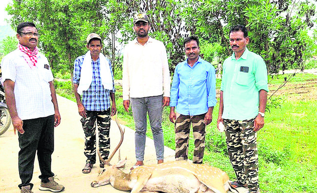 బాసర క్షేత్రంలో భక్తుల రద్దీ1