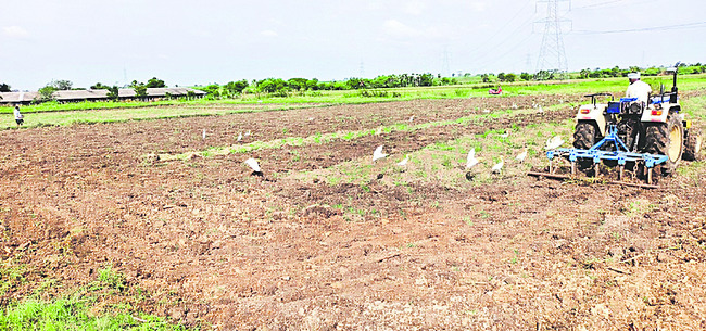 పల్నాడు1
