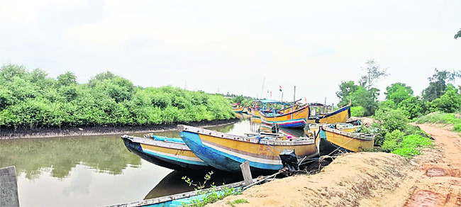 మత్స్యకారుల ఆశలు.. అడియాసలు2