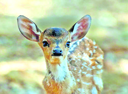ఊపిరి2