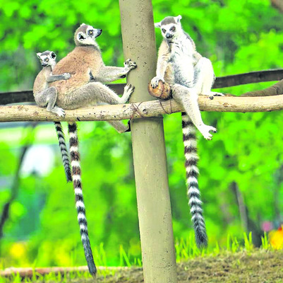 ఊపిరి1