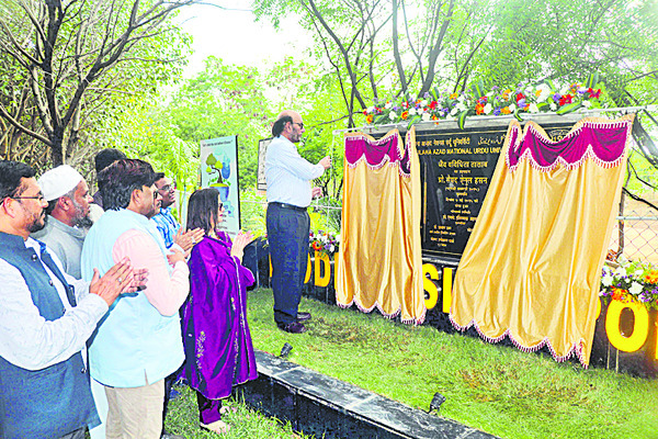 వైవిధ్య తటాకం!1