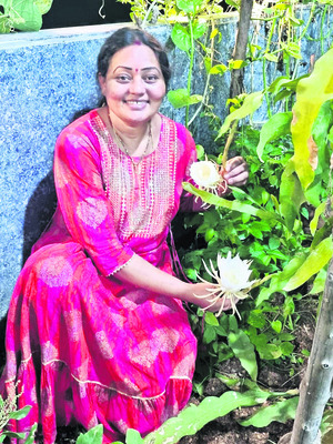 సారవంతమైన నేలల్లో అధిక దిగుబడులు2