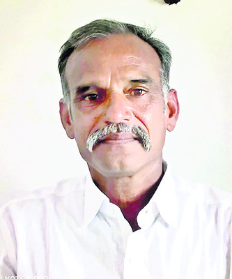 పసుపు సాగుకు పూర్వవైభవం 2