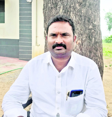పసుపు సాగుకు పూర్వవైభవం 3