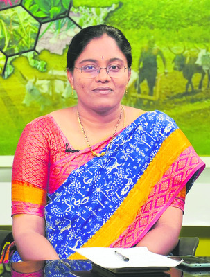 అదను దాటుతోంది2