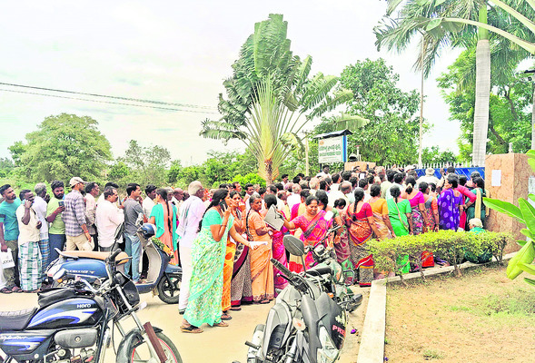 మామిడి రైతుకు అండగా ఉంటాం3