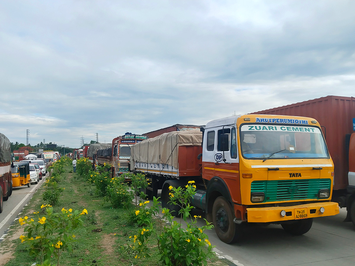 Mango Farmers Suffer Due to Lack of Good Price10