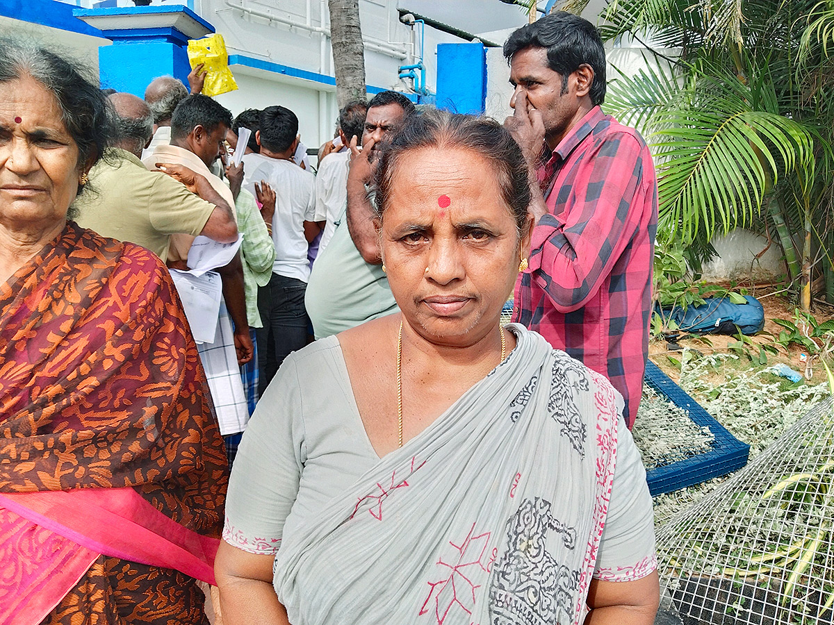 Mango Farmers Suffer Due to Lack of Good Price13