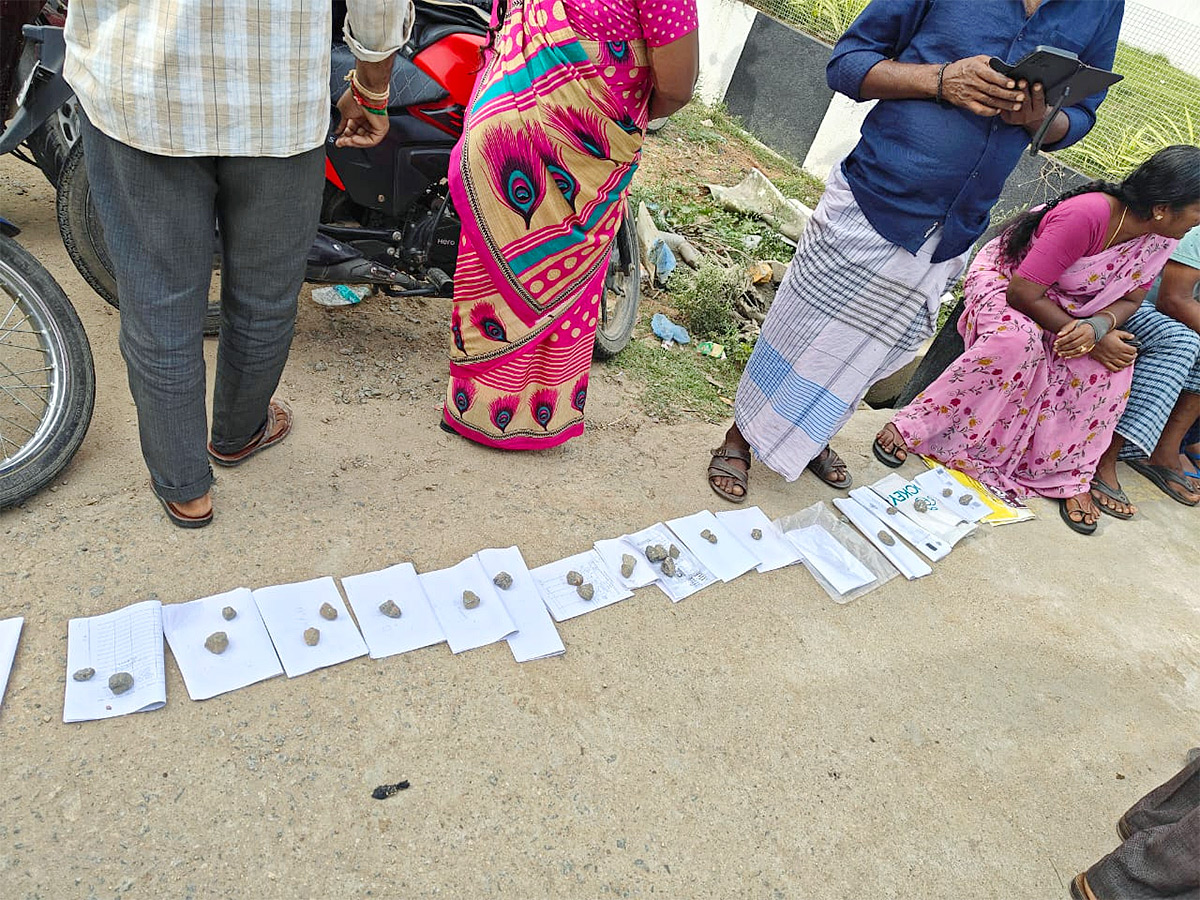 Mango Farmers Suffer Due to Lack of Good Price16