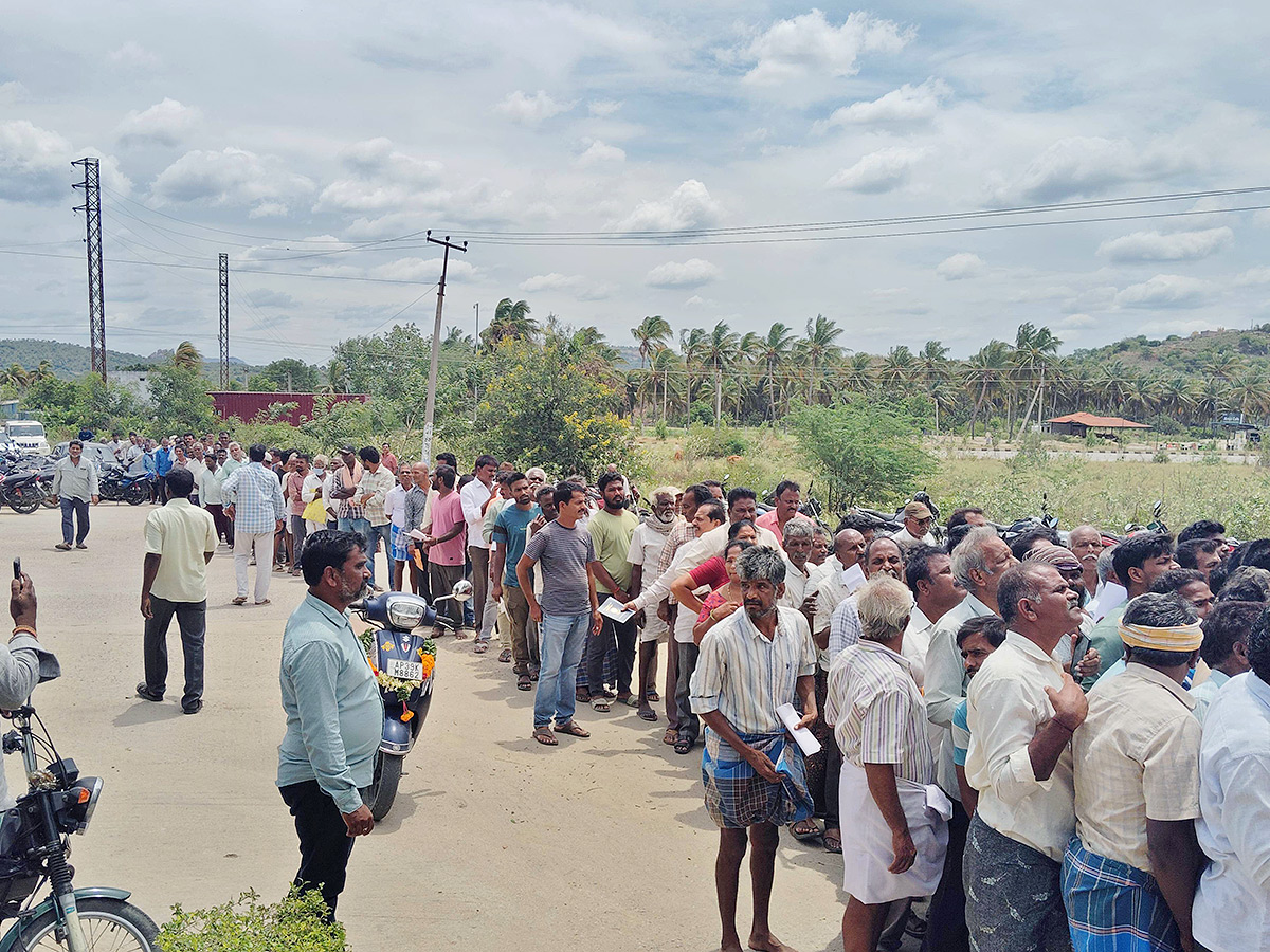 Mango Farmers Suffer Due to Lack of Good Price5