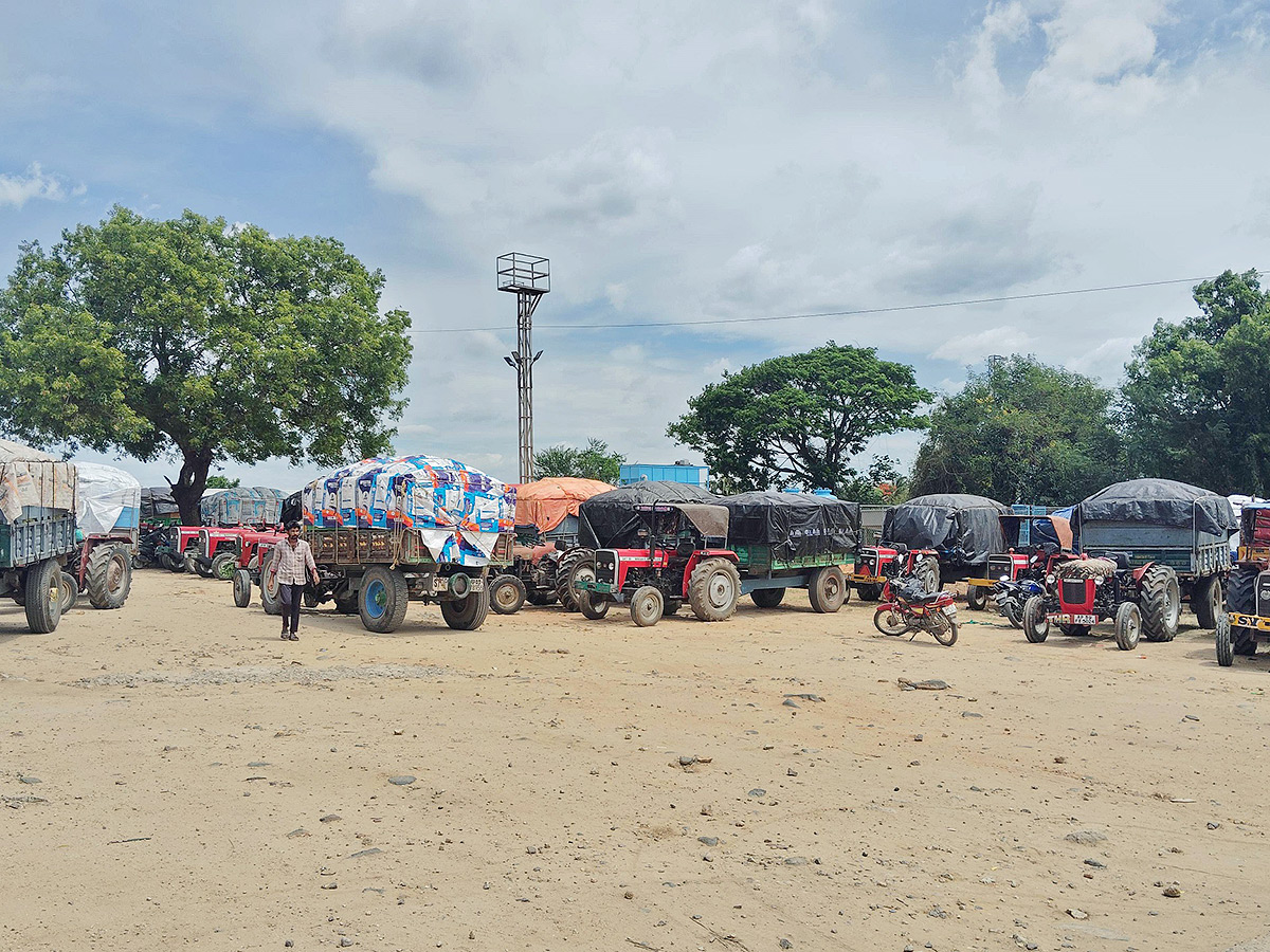 Mango Farmers Suffer Due to Lack of Good Price6