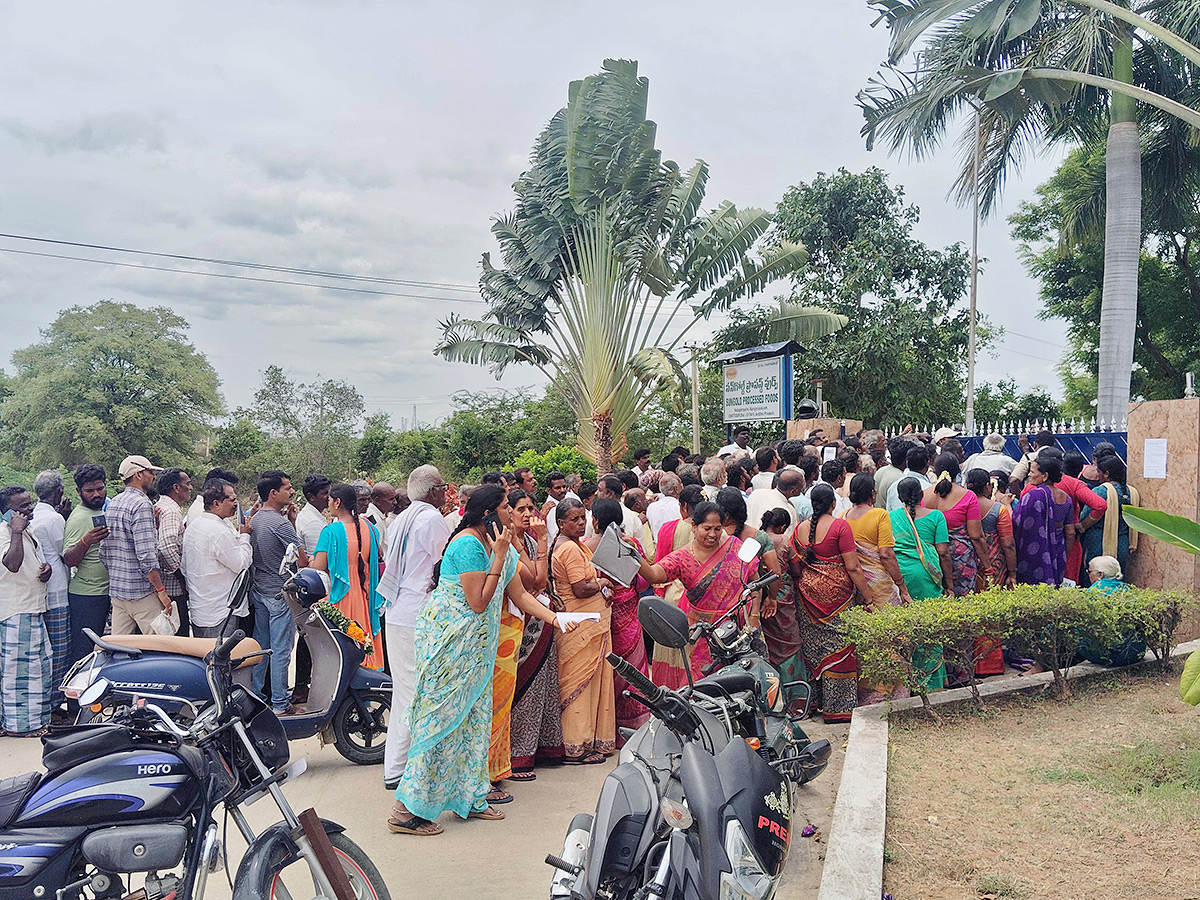 Mango Farmers Suffer Due to Lack of Good Price7