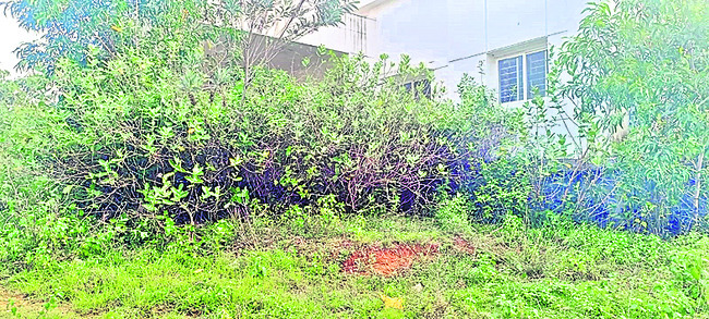 అసంపూర్తిగా1