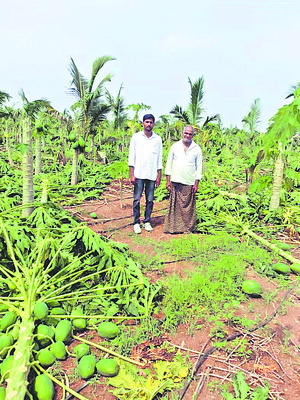ధర ఢమాల్... రైతు డీలా.. 1